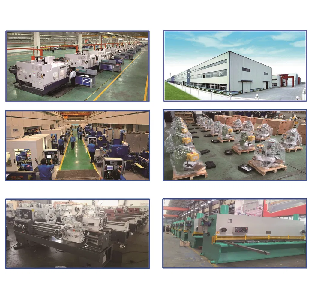 Bench Grinder 6" 150mm Grinding for Home Workshop Ds150 Ds175