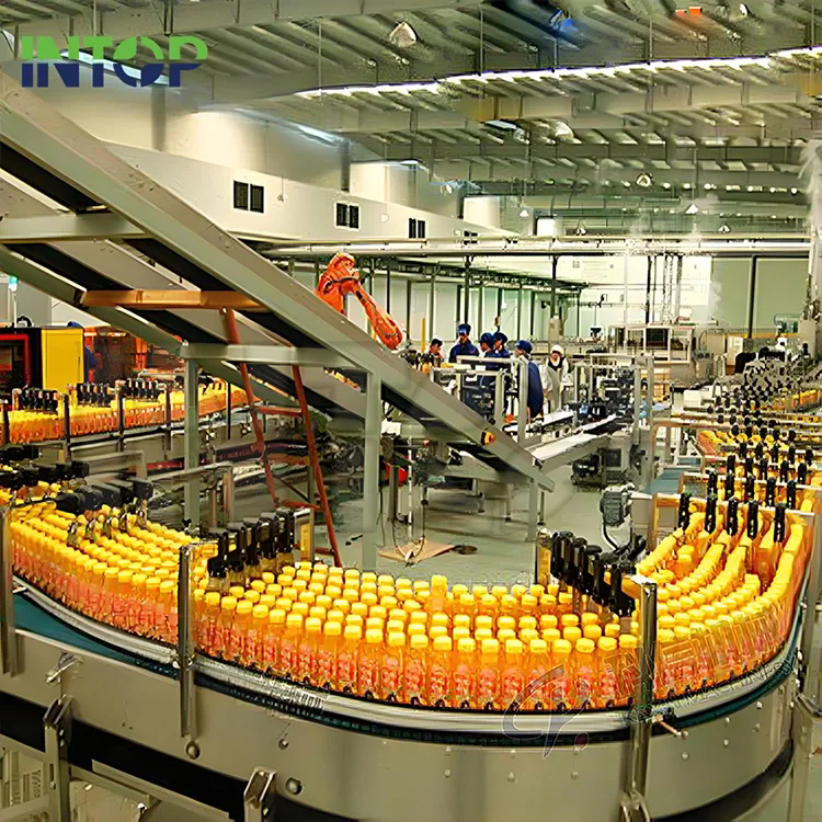 Apple Juice Production Line