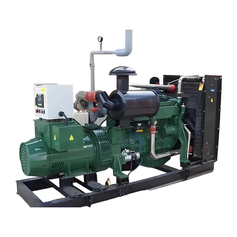 800kw Biogas Generator